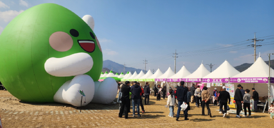 광양매화축제제24회 광양매화축제20250309_140727.jpg