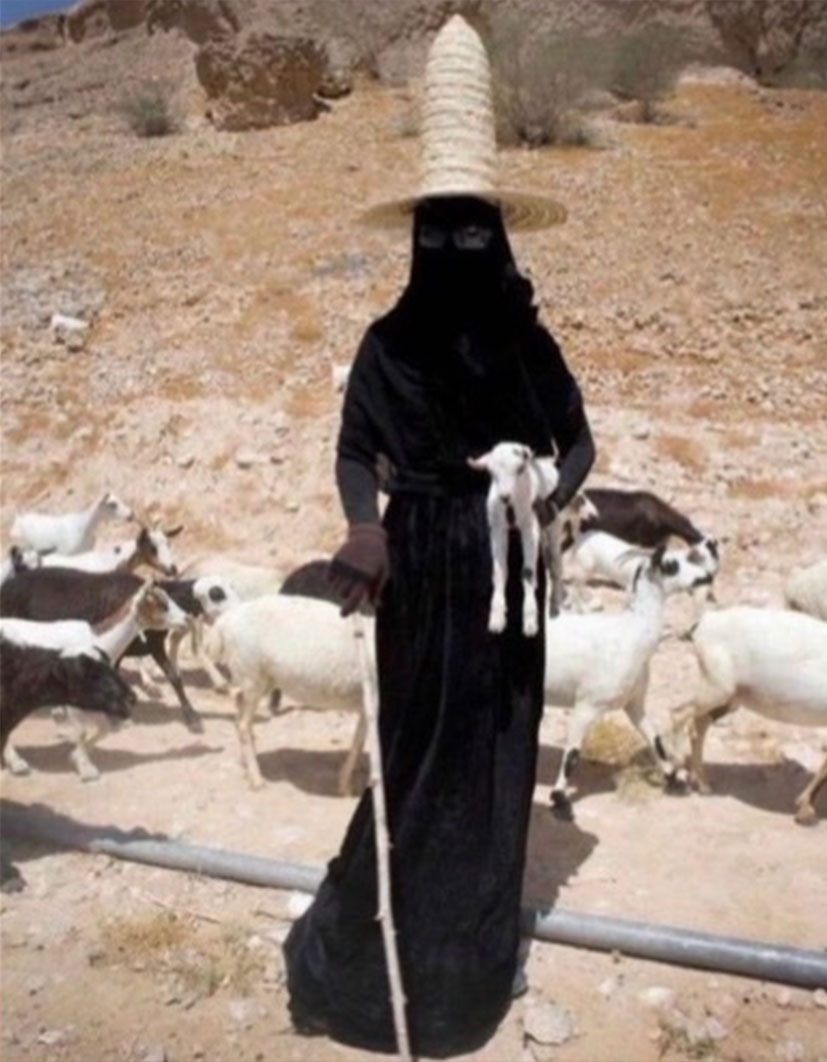 88.jpg