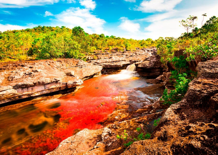 Contenido_Cano_Cristales_01.jpg