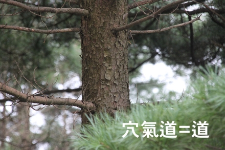 혈기도(穴氣道), 노자의 도(道)를 몸으로 수행하는 명상의 길
