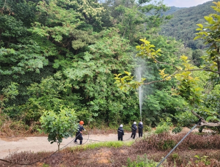 양산국유림관리소, 미국선녀벌레 협업방제 실시…농경지·산림 동시 대응