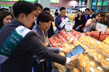 농축산물 가격 비교부터 요리법까지…‘알뜰하게 장볼지도’ 시범 운영