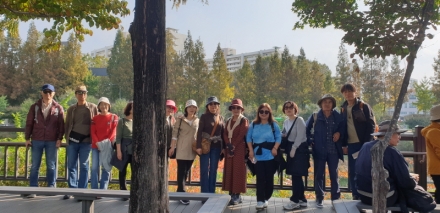 억새가 건네는 위로… 서울의 가을을 천천히 걷다
